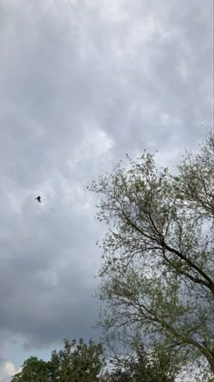 a bird flying in the cloudy sky above some trees