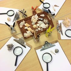 an image of a table full of objects and magnifying glass on top of it