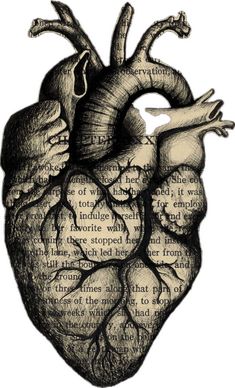 a drawing of a human heart with words written in the shape of an open heart