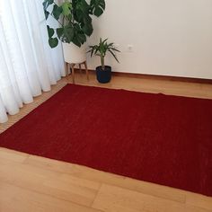 a living room with a red rug and potted plant on the floor next to white curtains