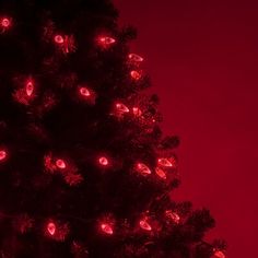 a christmas tree is lit up with red lights in the shape of eyes on it