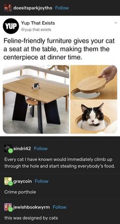 an image of a cat that is looking at the table