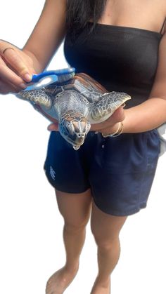 a woman is holding a small turtle in her hands