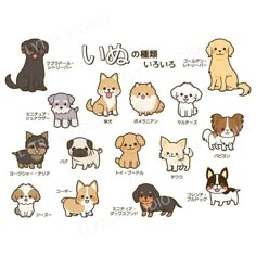 an image of dogs and puppies in different colors on a white background with japanese characters