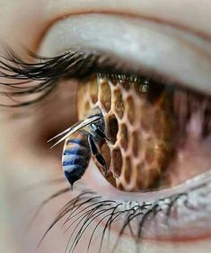 a close up of a person's eye with a bee on it