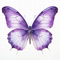 a watercolor painting of a purple butterfly