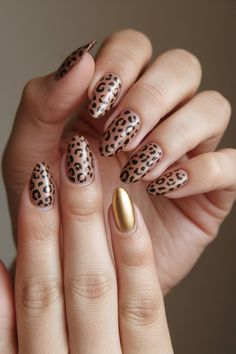 Cheetah Nail Designs, Cheetah Nails, Animal Print Nails, Hybrid Design, Keep It Classy, Nail Art Ideas, Bold And Beautiful, Accent Nails