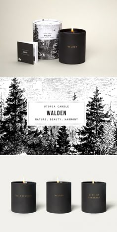 three candles are shown next to each other with the words walden written on them