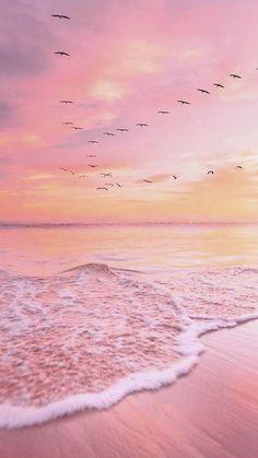 a flock of birds flying over the ocean at sunset with pink and blue sky above