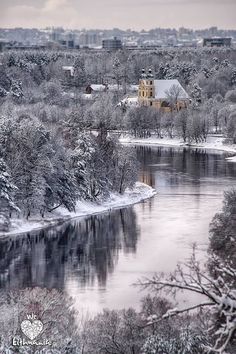 a river running through a forest covered in snow