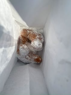 a stuffed animal sitting inside of a white bag filled with powdered sugar covered doughnuts