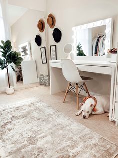 a white dog laying on the floor in front of a desk with a mirror and chair