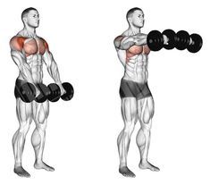 10 Best Muscle-Building Shoulder Exercises To Build 3D Shoulders - GymGuider.com Shoulder Mass Workout, Arm Training, Gym Antrenmanları, Dumbell Workout, Front Raises