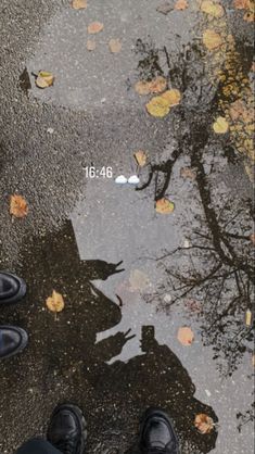 two people standing in front of a puddle that has fallen leaves on it and the reflection of a tree