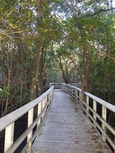 a wooden bridge surrounded by trees and leaves