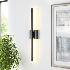 a wall light that is next to a potted plant in a room with white walls