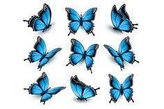 many blue butterflies flying in the air