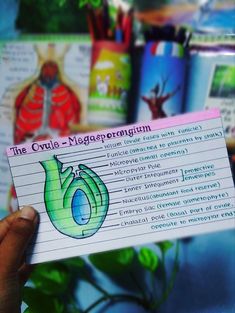 a person holding up a piece of paper with the words the circle - maggernigium written on it