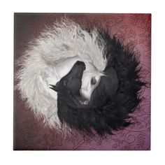 a black and white dog curled up in a fur ball on top of a purple wall