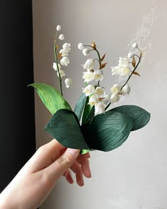 a hand holding a bouquet of white flowers with green leaves on the top and bottom