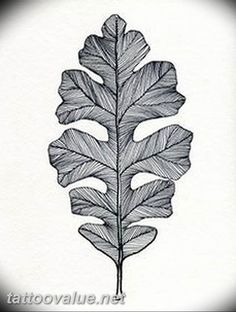 a black and white drawing of a leaf