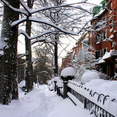 the snow is piled up on the sidewalk and trees in front of buildings with many windows