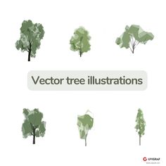 various trees are shown with the text,'tree illustrations'in white and green