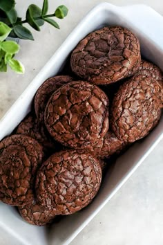 a white bowl filled with chocolate cookies next to a potted plant