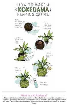 the instructions for how to make a kokedama hanging garden with potted plants