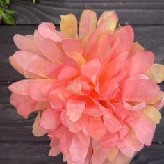 a large pink flower is in a vase