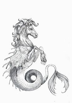 a black and white drawing of a sea horse with long manes standing on its hind legs