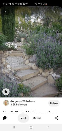 an image of a garden with rocks and plants on it's side, including lavenders