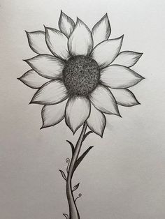 dibujo fácil Y2k Flower Drawing, How To Draw Sunflowers, Drawing Sunflowers, Flower Pot Drawing, Simple Nature Drawing, Drawing Y2k, Flowers Y2k, Y2k Drawings, Sunflower Sketches