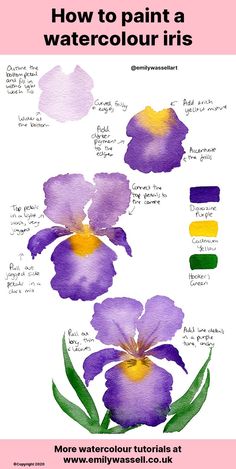 watercolor flowers with the words how to paint a watercolour iris on it