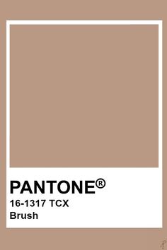 pantone's brown color is shown with the words, 16 - 1221 tcx