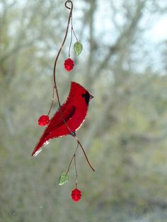 a red bird sitting on top of a branch with berries hanging from it's side