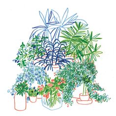 a drawing of potted plants in different colors and sizes on a white table top