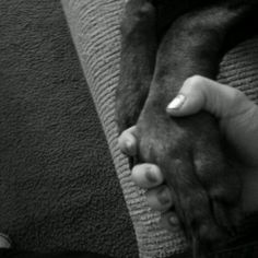 a person holding the foot of a dog on a couch in black and white photo