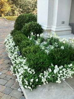 some white flowers and green bushes in front of a pillar on a brick walkway near a sidewalk