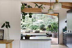 an open kitchen and dining area with plants on the counter top, hanging lights above