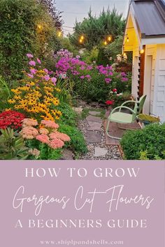 an outdoor garden with flowers and lights in the background text reads how to grow gorgeous cut flowers a beginner's guide