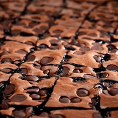 a close up view of some chocolate cookies