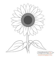 a drawing of a sunflower on a white background