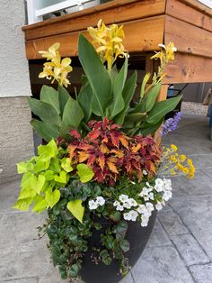 a planter filled with lots of different types of flowers