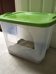 a green and white litter box on the floor with sand in it's bottom