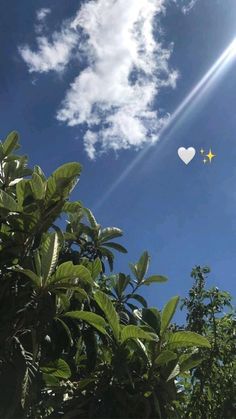 two white hearts floating in the sky above some trees