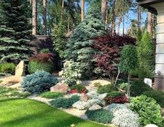 an outdoor garden with lots of trees and plants in the grass, along with some rocks