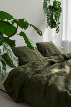 an unmade bed with green comforter and plants in the corner next to it