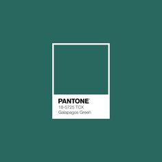 pantone's sea moss color is shown in this graphic style, with the words pan