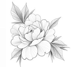 a black and white drawing of a flower